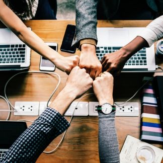 how to develop your team